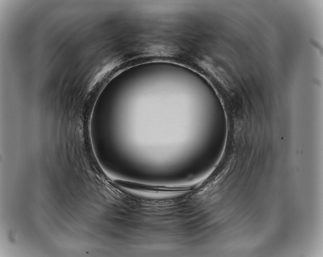 X0000097301307200802151429