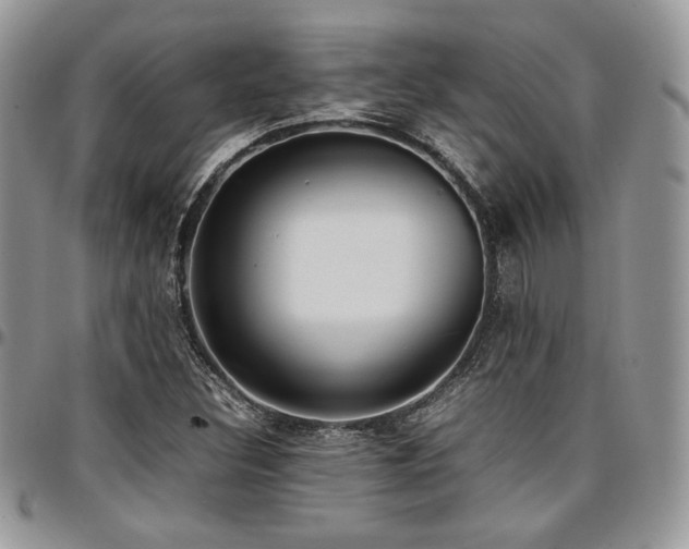 X0000097301308200802151429