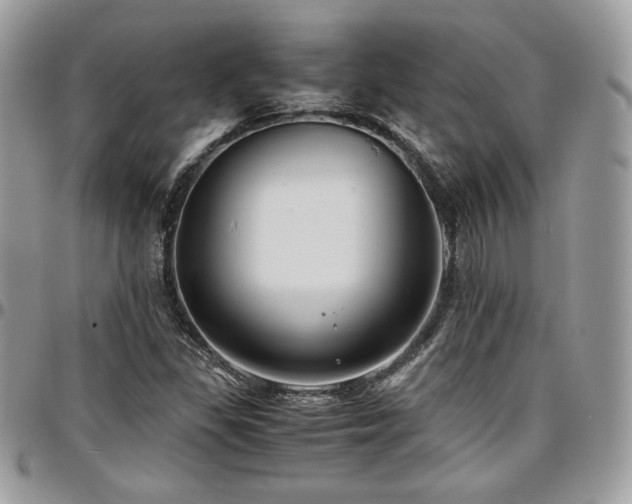 X0000097301309200802151429