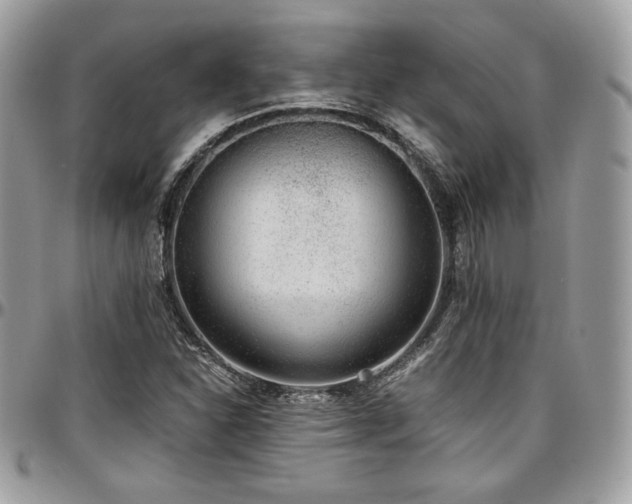 X0000097301310200802151429