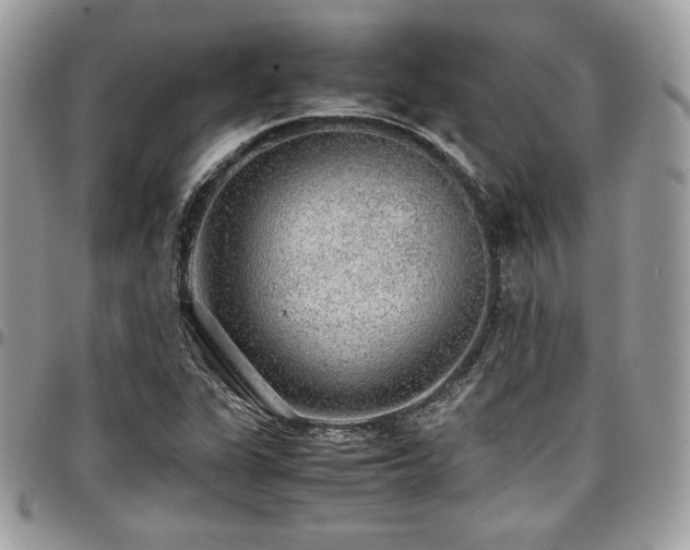 X0000097301311200802151429