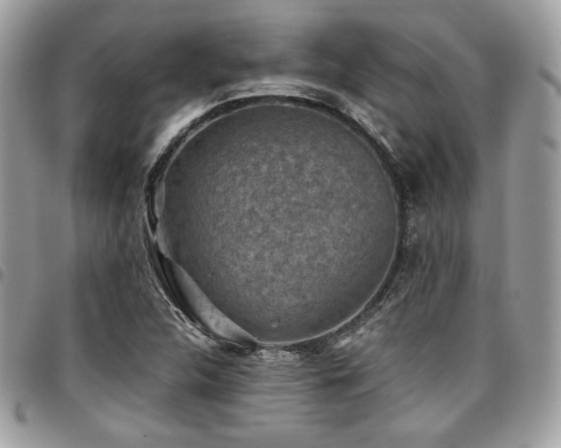 X0000097301312200802151429