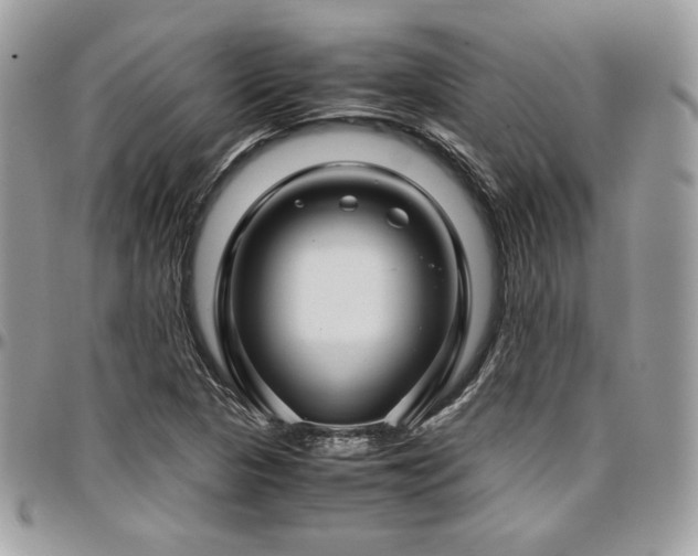 X0000097301313200802151429