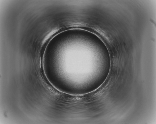 X0000097301317200802151429