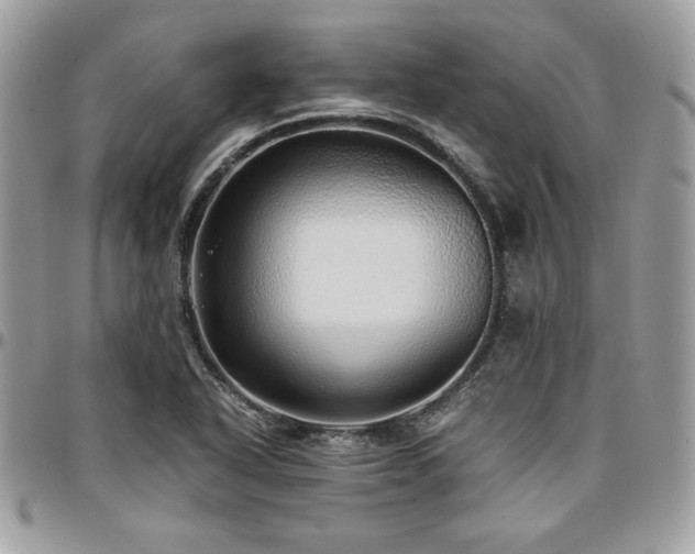 X0000097301318200802151429
