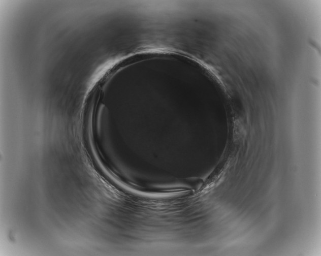 X0000097301319200802151429