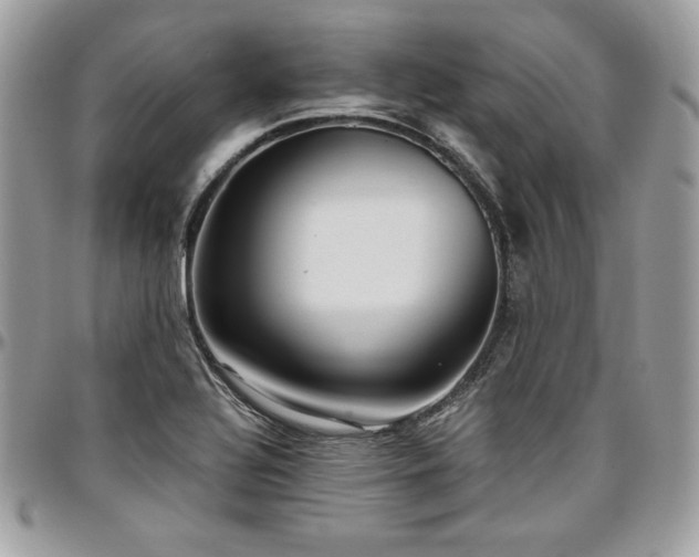 X0000097301320200802151429