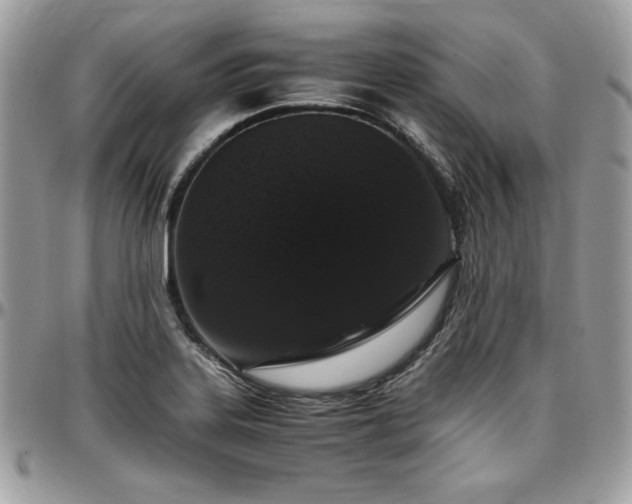 X0000097301323200802151429