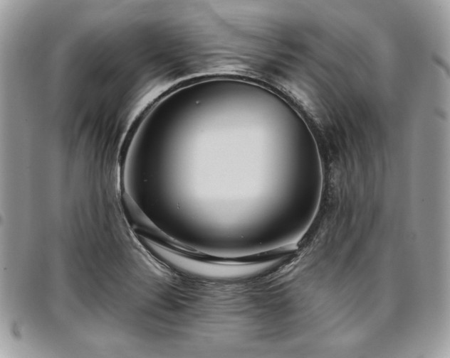 X0000097301324200802151429