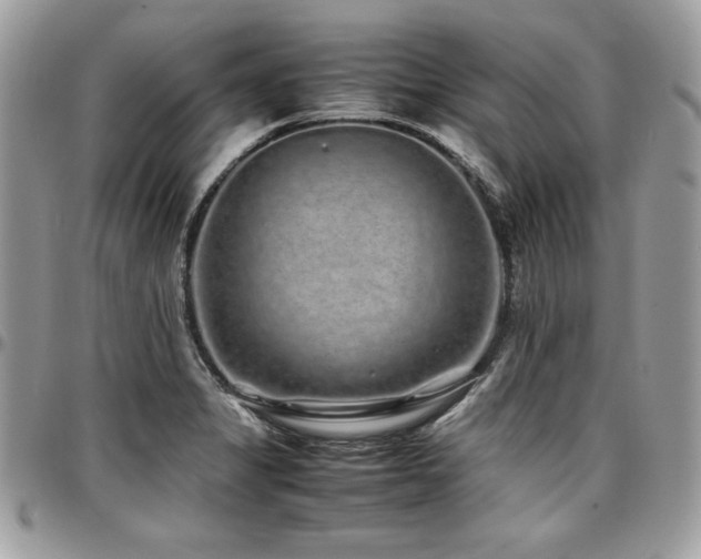 X0000097301325200802151429