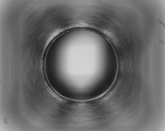 X0000097301326200802151429