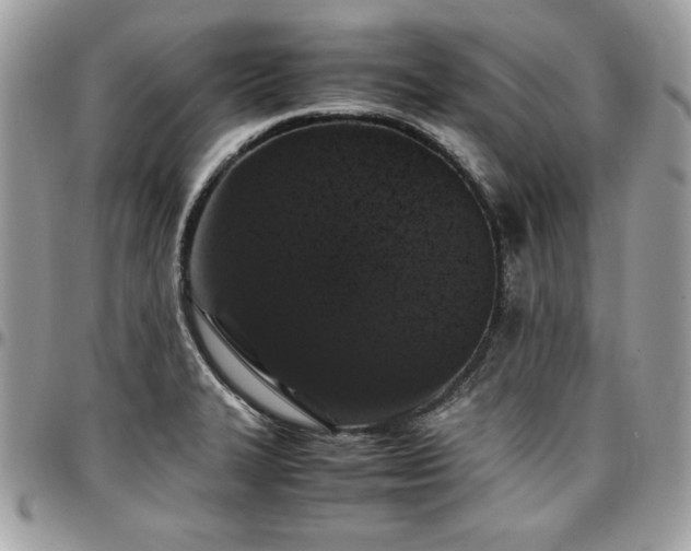 X0000097301327200802151429