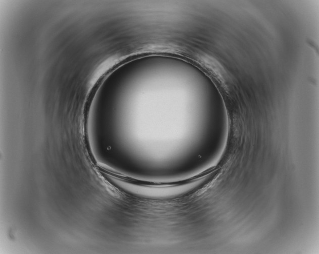 X0000097301328200802151429