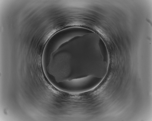 X0000097301329200802151429