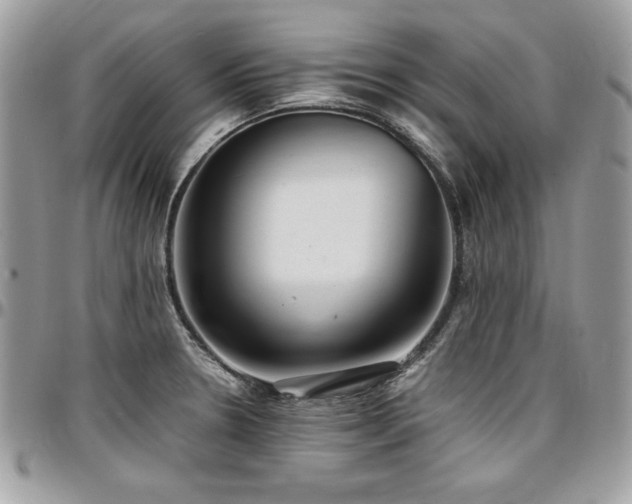 X0000097301330200802151429