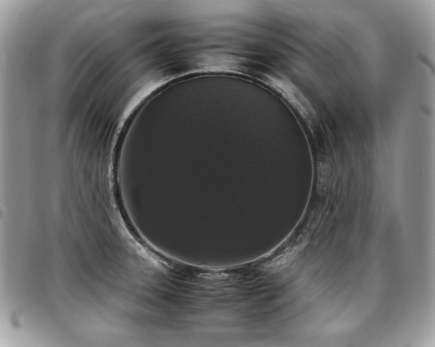 X0000097301331200802151429