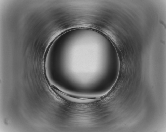 X0000097301332200802151429