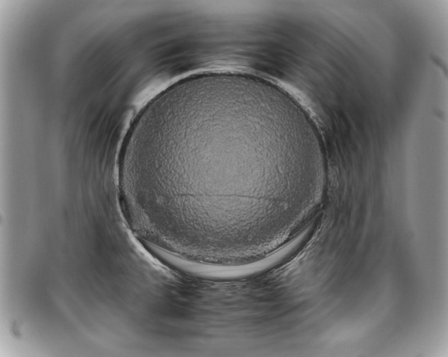 X0000097301335200802151430
