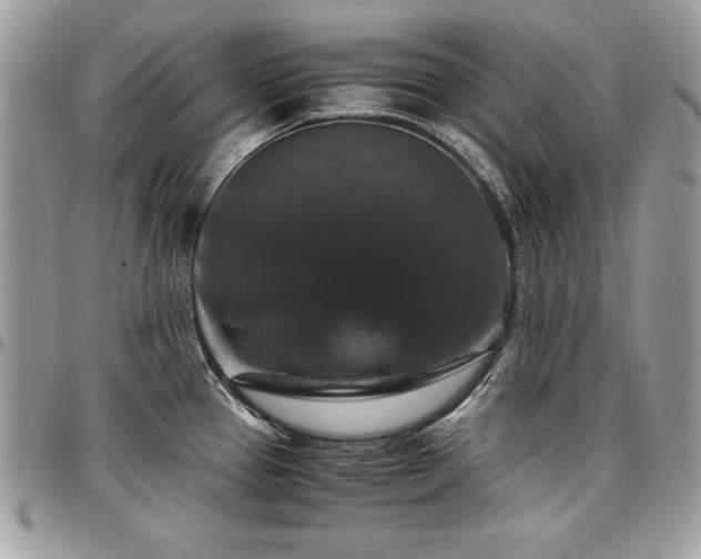 X0000097301337200802151430