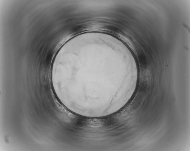 X0000097301338200802151430