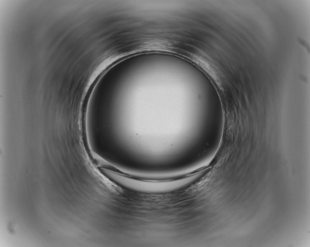 X0000097301339200802151430
