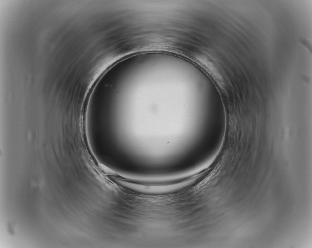 X0000097301340200802151430