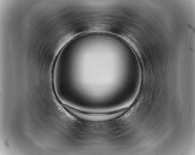 X0000097301341200802151430