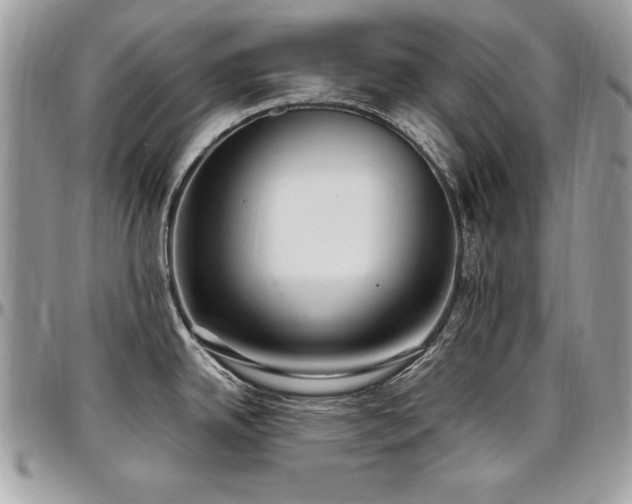X0000097301342200802151430