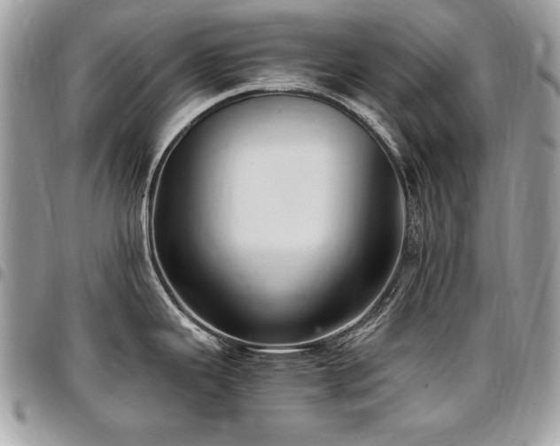 X0000097301343200802151430