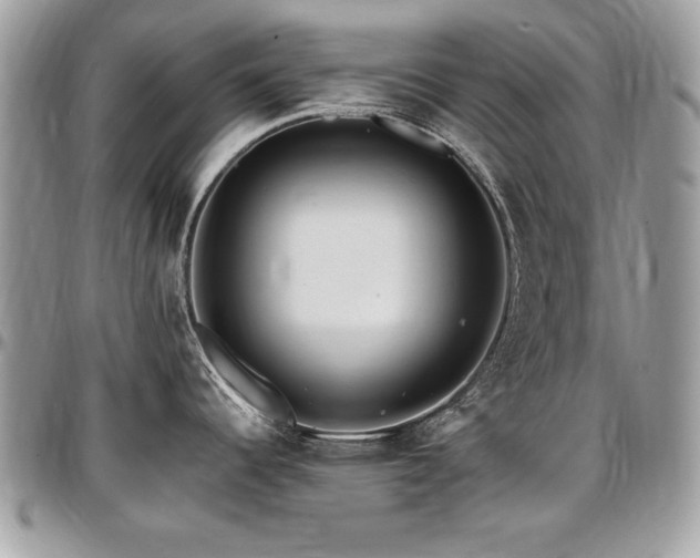 X0000097301344200802151430