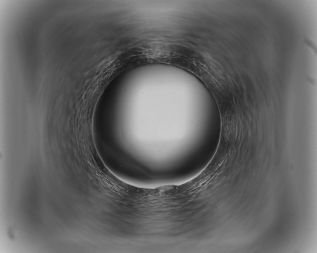 X0000097301345200802151429