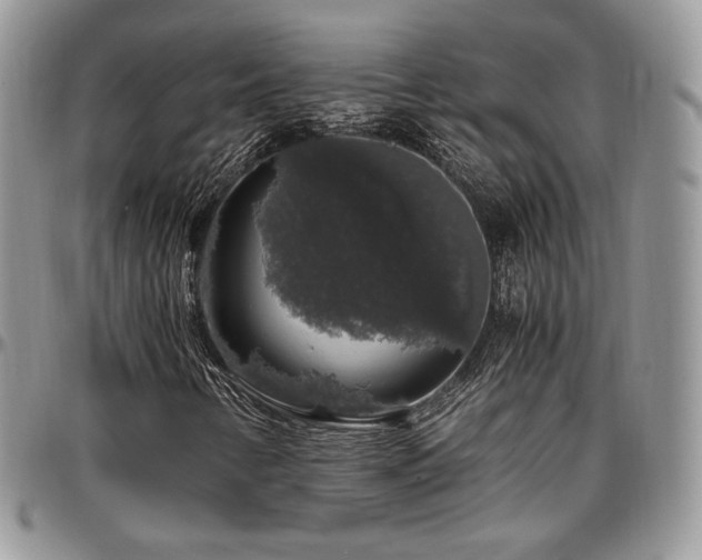 X0000097301346200802151429