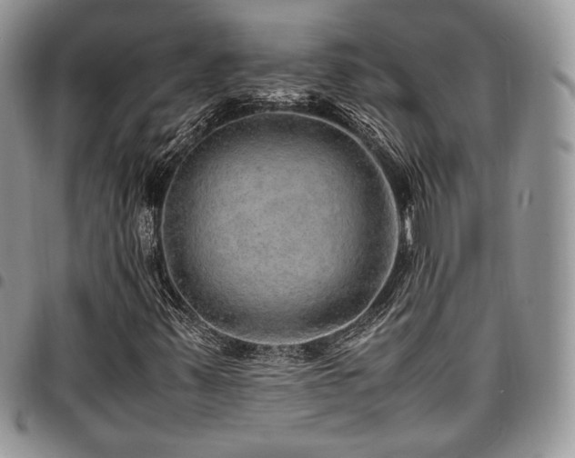 X0000097301347200802151429