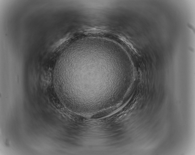 X0000097301350200802151429
