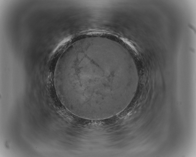 X0000097301351200802151429