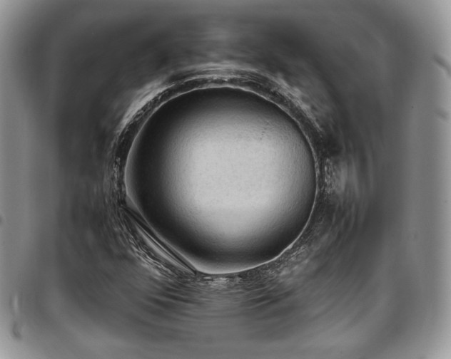 X0000097301352200802151429