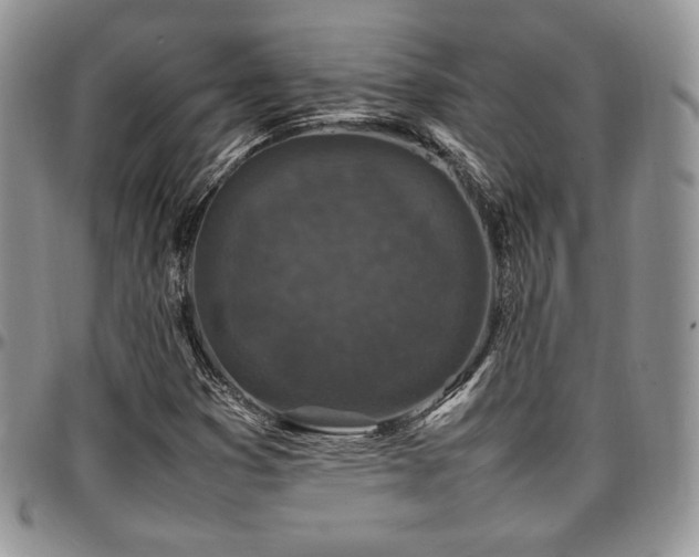 X0000097301353200802151429