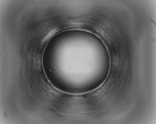 X0000097301354200802151429