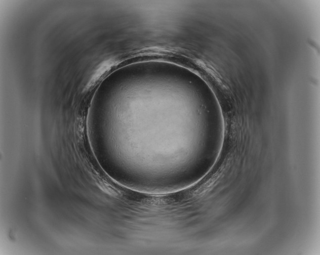 X0000097301355200802151429