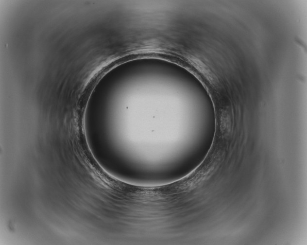 X0000097301356200802151429