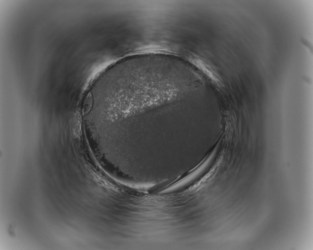 X0000097301358200802151429