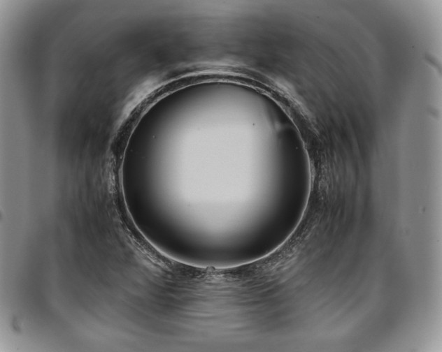 X0000097301360200802151429