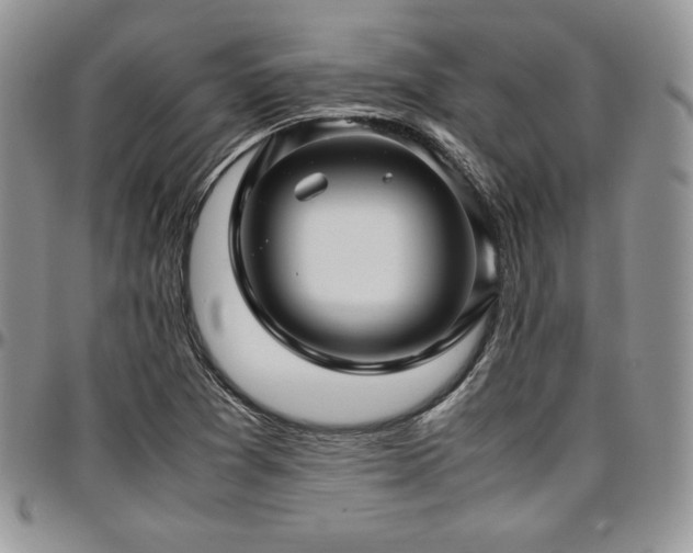 X0000097301361200802151429