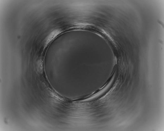 X0000097301362200802151429
