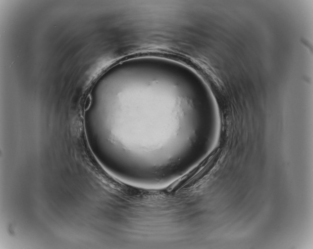 X0000097301363200802151429