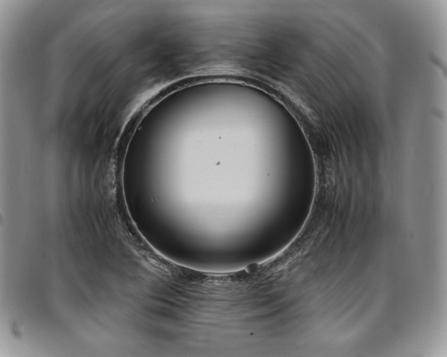 X0000097301364200802151429