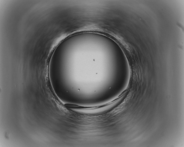X0000097301366200802151429