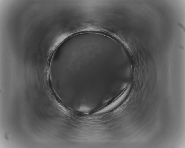 X0000097301367200802151429
