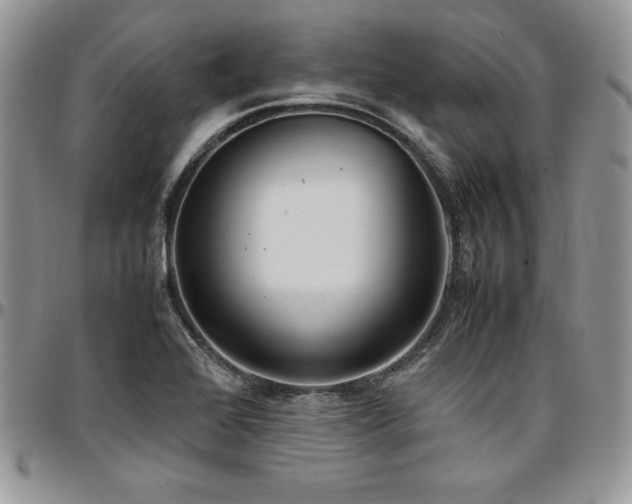 X0000097301368200802151428