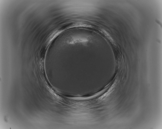 X0000097301369200802151428